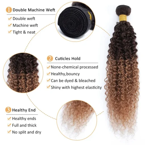 13x4 hd transparent lace frontal closure with ombre curly human hair bundles, 100% brazilian remy hair extensions