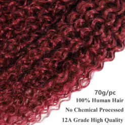 t1b/99j burgundy curly brazilian human hair, 3 or 4 bundles with 4x4 lace closure, red hair extensions for women and girls
