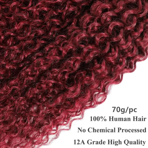 t1b/99j burgundy curly brazilian human hair, 3 or 4 bundles with 4x4 lace closure, red hair extensions for women and girls